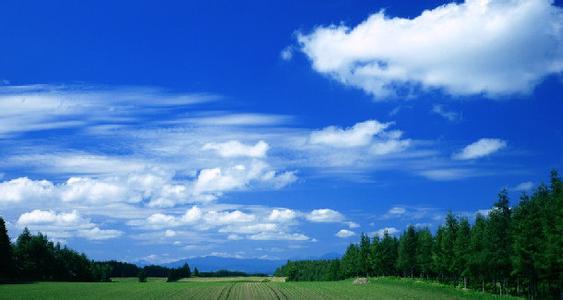 1489653090944310.jpg detail.jpg